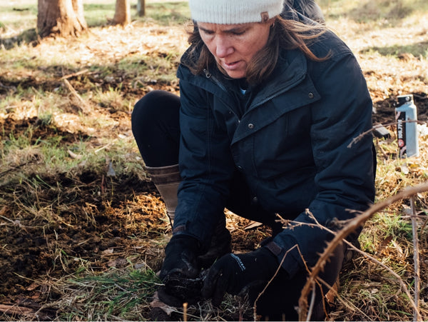 Tree planting to save Koala habitat in the Mornington Peninsula