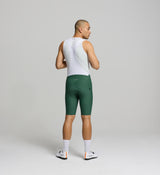 Back view of Pine SuperFIT 2.0 Bib Shorts – advanced brace system and sculpted rear shaping for maximum comfort